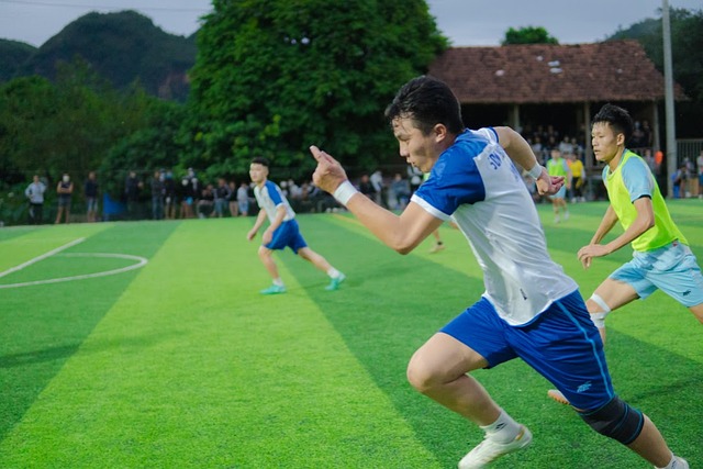 季都未能再